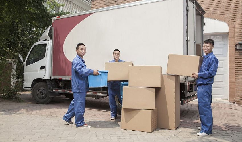 If They Were Professional Enough packers movers