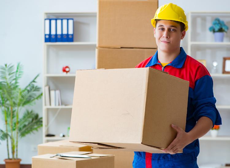 Movers And Packers Al Nahda