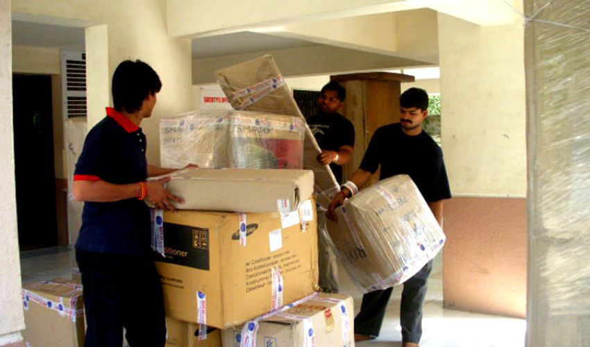 . Service Levels Provided By Movers